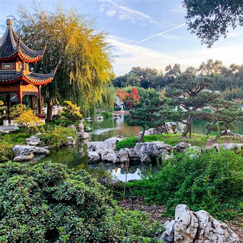 hunter libraries|huntington library and gardens ca.